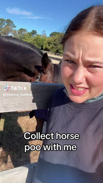 Collecting Horse Poo for Health Testing: A Fun Guide