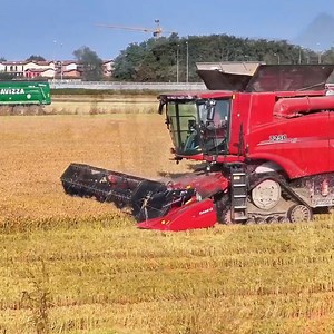 Massive Case IH combine in action during rice harvest 🌾🚜 | Big Machines