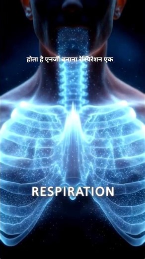 Respiration ka Real Science | Oxygen se Energy tak (3D) #Biology #neet #shorts #ssc #upsc #facts