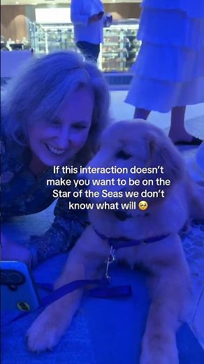 Meet Sailor! Royal Caribbean’s Newest Chief Dog Officer Aboard Star of the Seas
