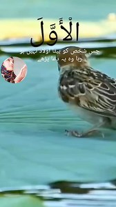 2M views · 100K reactions | 鹿懶✨️ | Islamic Official Channel | Facebook