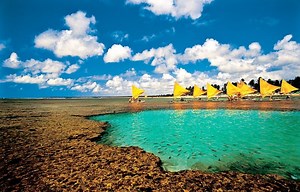 Top 10 Safest Beaches In Brazil: Crime, Sharks, Waves | Tripster Panda