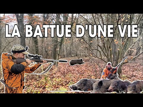 CHASSE AU SANGLIER EN BATTUE - 4 SANGLIERS EN 30min