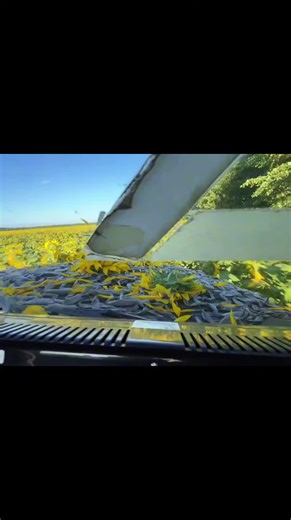 ЗСУ в Одесі: героїзм та боротьба