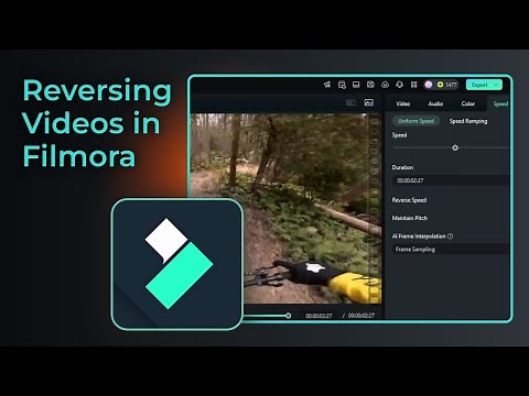 How to Reverse a Video in Filmora