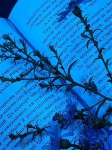 Understanding the Lyrics of 'Juliet' by Cavetown