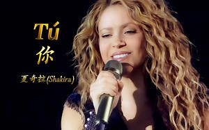 《Tú》你，夏奇拉(Shakira)2019世界巡演，西班牙语/中文双语字幕超清版