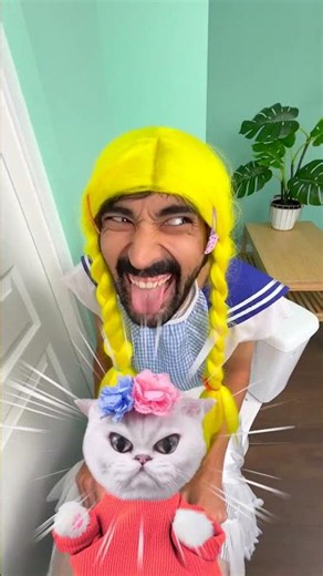 🐱 أفضل حيل تربية القطط لتجعل يومك أفضل! 👍🤩