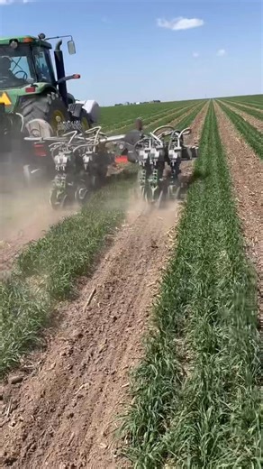 78K views · 435 reactions | Semina della Soya tra le strisce di Frumento primaverile….Relay Crop 2025…Da @Brad Wingfield #NewsAgricoltura | NewsAgricoltura | Facebook