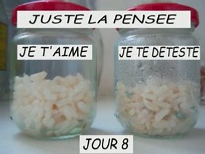 Expérience du RIZ !
