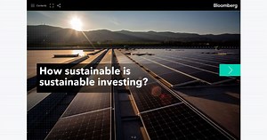 How sustainable is sustainable investing?