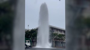 Tall geyser towers over multi-story building
