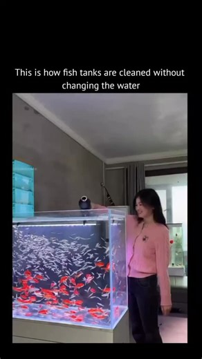 psycovibe on Instagram: "Cleaning a fish tank doesn't always mean draining it. In this method, waste and debris are removed while the water stays in place. Tools like siphon vacuums and filtration systems pull out uneaten food, algae, and sediment from the gravel, keeping the environment clean without stressing the fish. What makes this approach effective is balance. Beneficial bacteria remain undisturbed, water chemistry stays stable, and the tank continues to cycle naturally. It's a low-impact