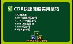 CDR快捷键超实用技巧，1.F2的妙用2.Shift键选择的妙用3.CTRL D键的妙用4.TABLE键的妙用5.TBLR的妙用6.P和F4的妙用