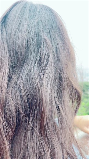 Niks Angellians Song Reaction