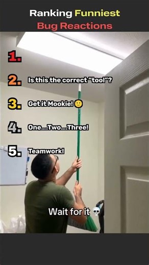 Ranking Funniest Bug Fails