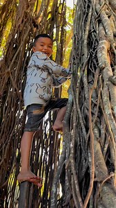 Trổ tài cùng tarzan nhí | Tarzan Tây nguyên