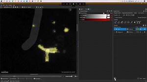 3D线粒体案例_Pixel Classifier的应用