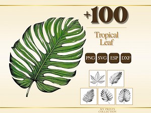 Tropical Leaf PNG Bundle – 100+ Cricut & Silhouette Files, SVG, DXF, Eps – Flower Botanical Nature Line Art, Stencil, Digital Craft - Etsy Australia