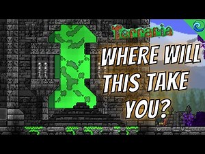 I built this 3D Portal in Terraria...where will it take you? || Terraria 1.4 Speed Build ||