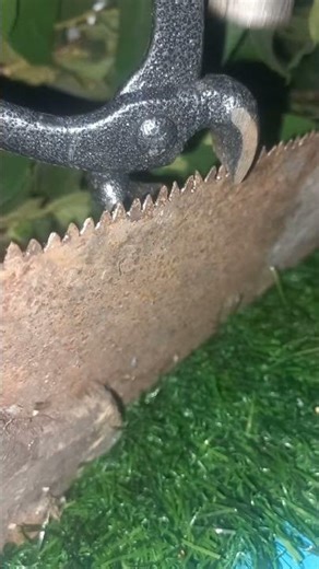 The Art of Saw Sharpening"