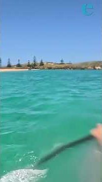 Explore Norfolk Island: Aussie island paradise