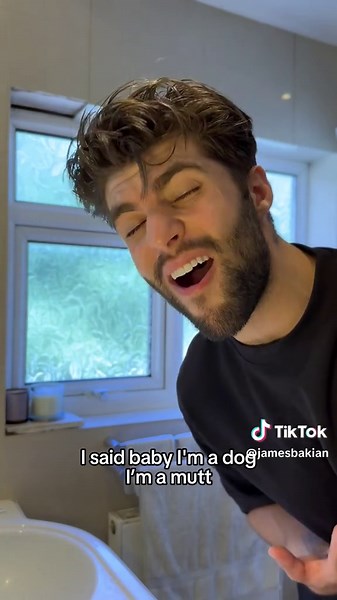 I Got Stung by a Wasp but This Song Healed Me