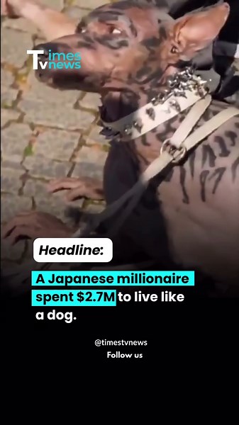 A japanese millionaire spent 2.7 million dollars to live like dog.#shorts #trending #japan
