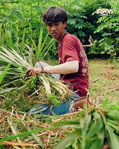 905K views · 9.2K reactions | Ilmu Daging! Modal 2 Ekor, Jadi 150 Ekor Kambing: Berkat Manajemen Kandang & Pakan yg Baik! #3 | PecahTelur | Facebook