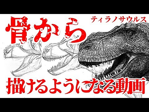 【恐竜の描き方】骨からティラノサウルスが描けるようになる動画｜恐竜イラスト入門