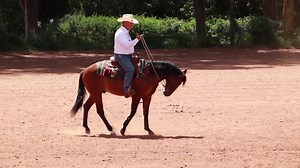 4.9K views · 2.5K reactions | INSCRIÇÕES ABERTAS! CONDIÇÃO DE...