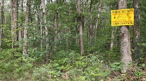 Nearly 100 parcels of Michigan land up for auction in August, September