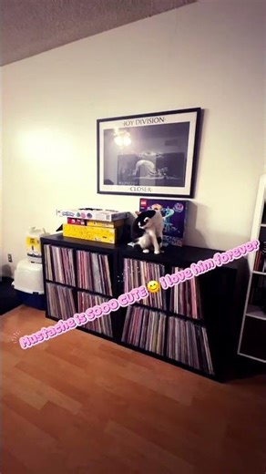 Do y’all think mustache is cute? 🥰