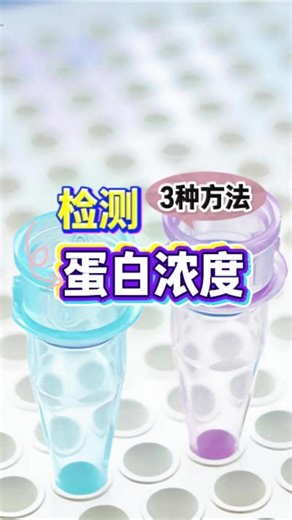 常用的检测蛋白浓度的3种方法