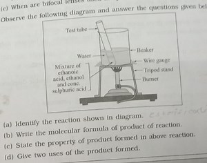 (c) When are bifocalObserve the following diagram and answer ... | Filo