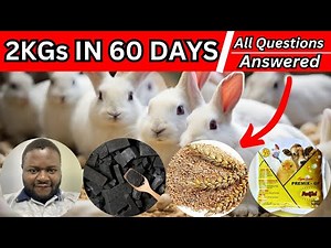 Mixing High Protein rabbit feed at home all Questions answered