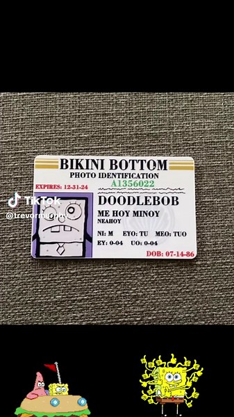 SpongeBob SquarePants Parody Prop Drivers License on a Laminated ID Card 3.4 inches by 2.2 inches. #SpongeBobDriverLicense #SpongeBobParody #SpongeBobMeme #SpongeBobSquarePants #SpongeBobFan #SpongeBobHumor #SpongeBobJokes #SpongeBobQuotes #gaggift #everyone #foreveryone #fyp
