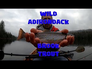 Spring Brook Trout Fishing And Canoe Camping In The Adirondacks. 3 Days At A Remote Lake!