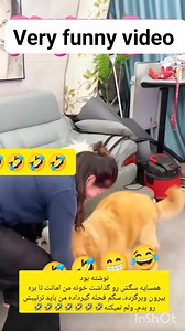 17K views · 50 reactions | Very funny video #fb #animallover #viral #meetingthechallenge #animals #funny #meeting #mating #trendingvideo | Village Fun TV | Facebook