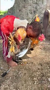 ❤️🐥 Beautiful Village Moment | Little Boy Having Fun With Chickens.#tending #foryou