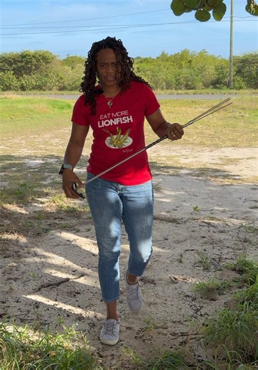 A pole spear may look simple… but don’t let that fool you. No trigger. No complicated mechanics. Just tension, accuracy, and control. The band stores the power… and when its released, the spear does the rest. This is one of the most effective tools divers use when hunting invasive lionfish across Caribbean reefs. Stick around and I’ll give you some tips on how to use a pole spear effectively while hunting Lionfish. 🧜🏽‍♀️ Eat ‘Em to Beat ‘Em 🔱 Lionator Polespear #SaltyLocs #LionatorPoleSpears 