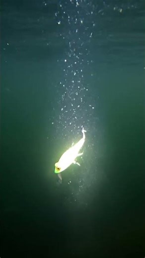 Epic Gaming Moments! 💯🔥