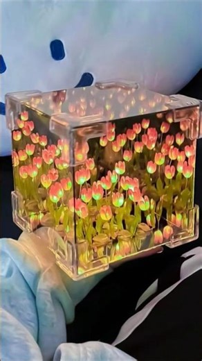 😍Beautiful tulip showcase for home decor or gift idea💫#gift #giftideas #tulip #beautiful #homedecor