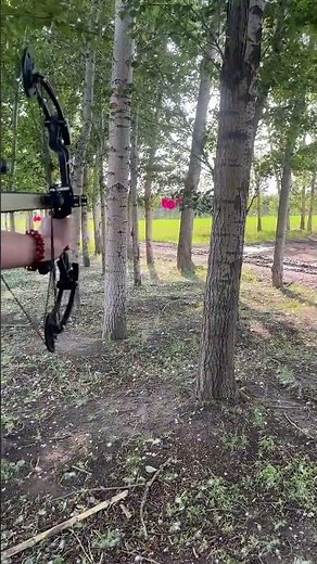 Semi-automatic steel ball compound bow #archary#fyp #outdoors #tools #bowfishing #hunting