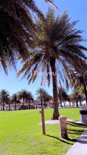 Silent repost #repost #relatable #ilikeyou #summer #filter