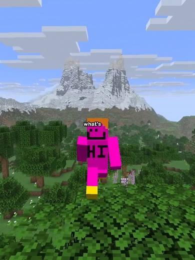 Discovering the Rarest Biome in Minecraft