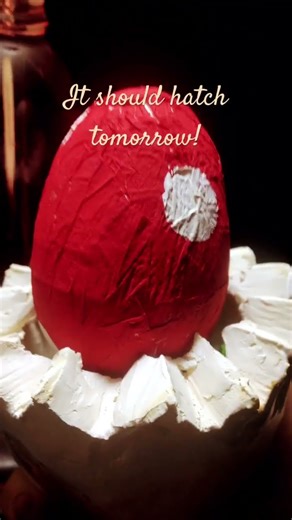 An update on Mushy’s egg! ❤️🍄 #dragonpuppets #dragonegg #mushroom