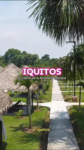 13K views · 63 reactions | Si vas a Iquitos, este es el hotel donde tienes que quedarte: Irapay Amazon Lodge, Hotel Asociado Casa Andina. En donde podrás encontrar 2 piscinas, spots instagrameables y la vibra única de la selva peruana… ¡todo en un solo lugar! Ah, y no olvides saludar a Blue, nuestra adorable mascota  | Casa Andina Hoteles | Facebook