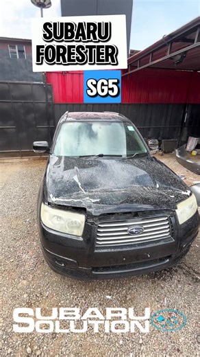 Subaru SG5 Recovery: Bonnet Repair and Repaint