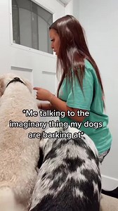 Loll my dogs were just doing this 😂 | Whitney wren